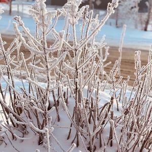 Meet your Posher, Jillian